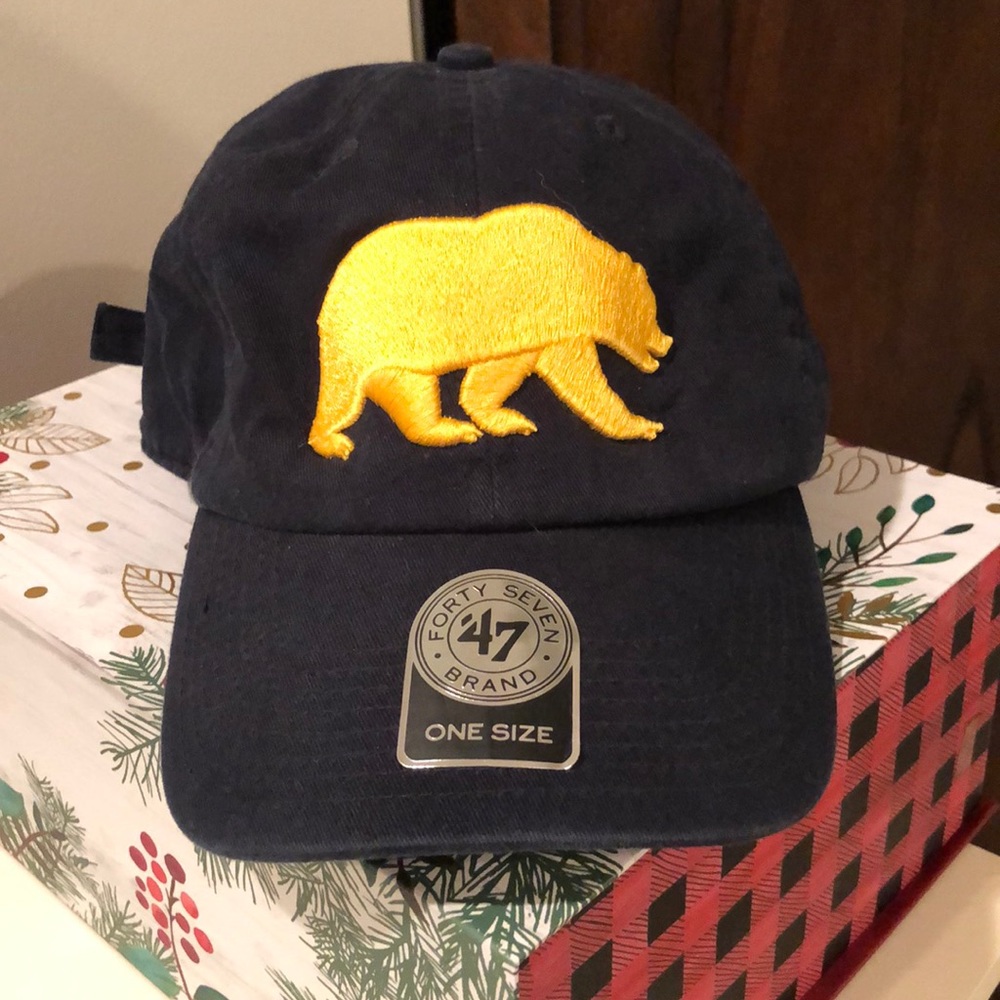 CALI Bear Hat NWT, never worn - Picture 1 of 3